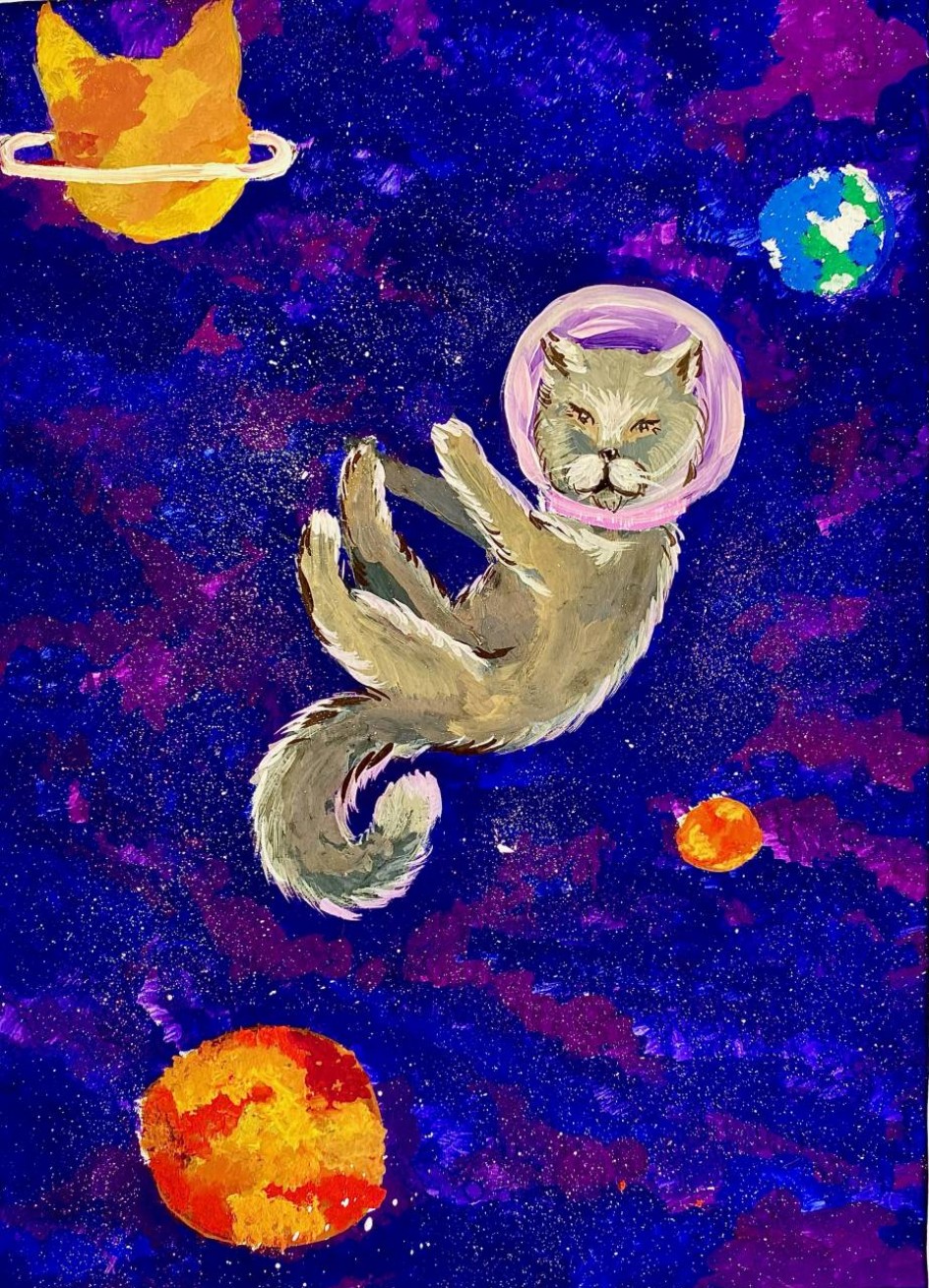 Космический кот