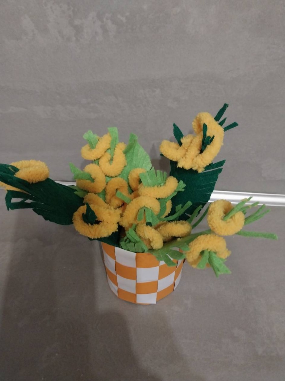 Мимоза в корзине