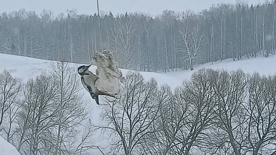 Обед