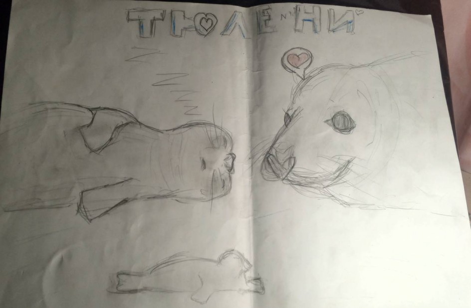 Тюлени