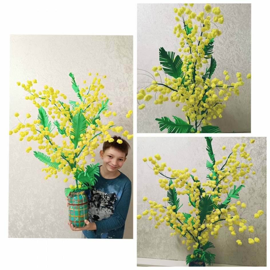 Мимоза-символ весны