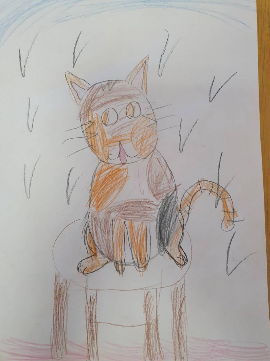 Котик