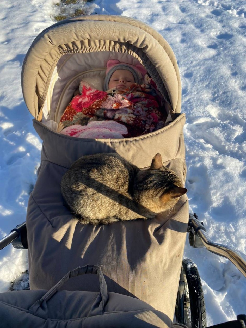 на прогулку дружно