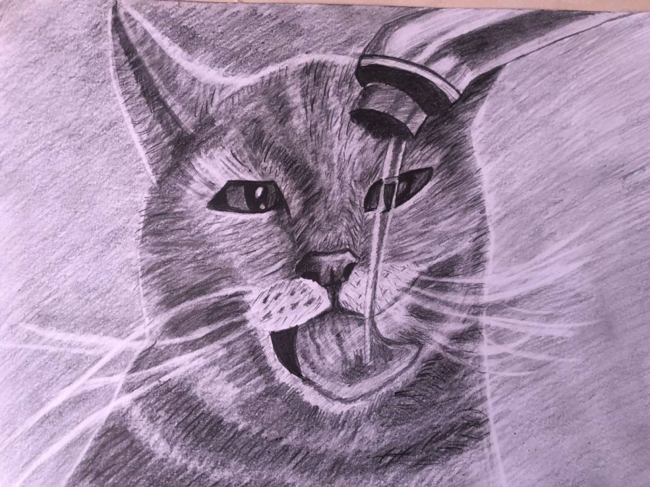 Кот