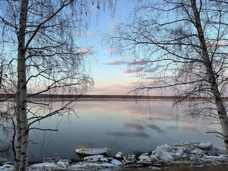 Долгожданная весна