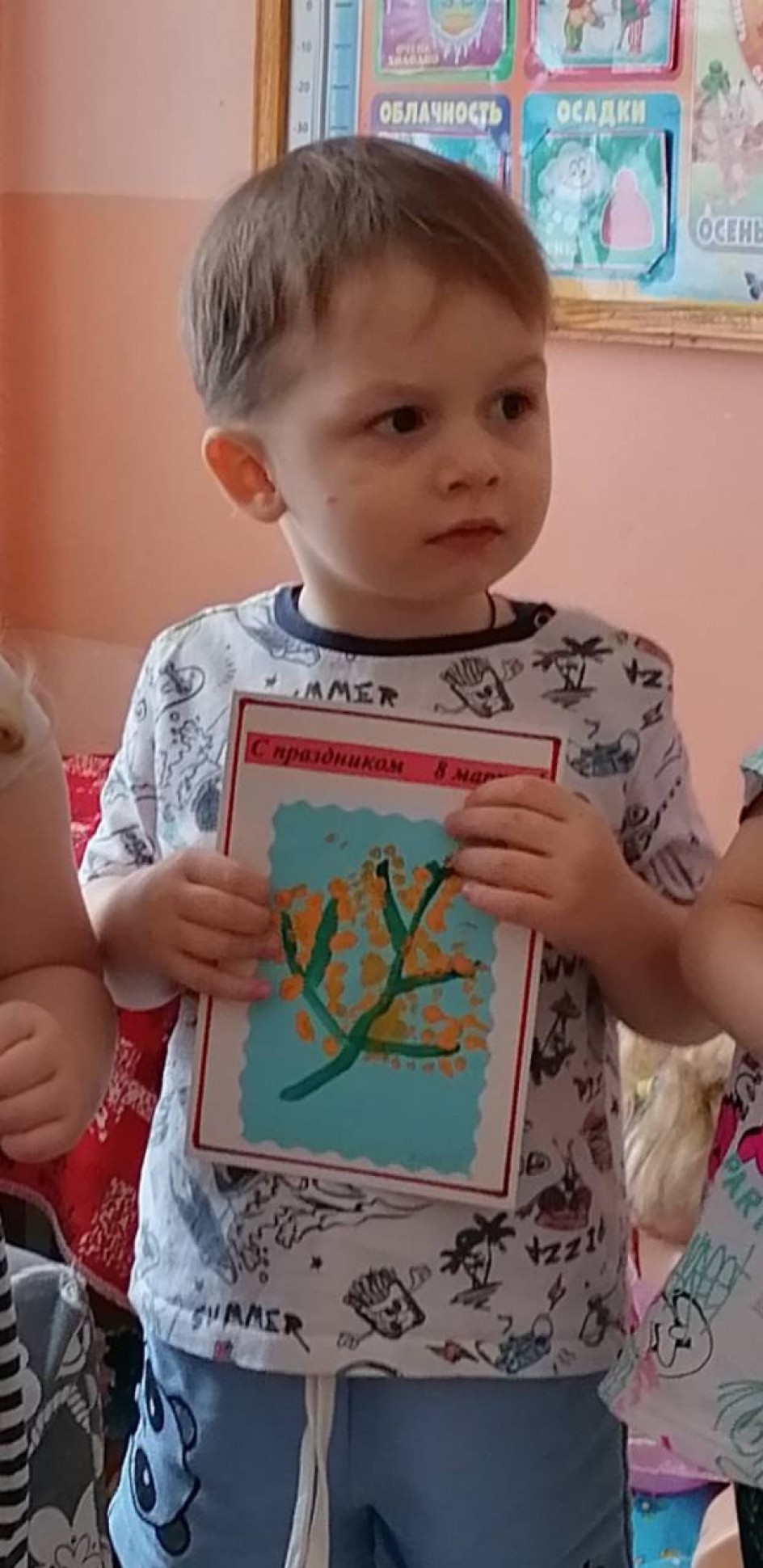 Мимоза