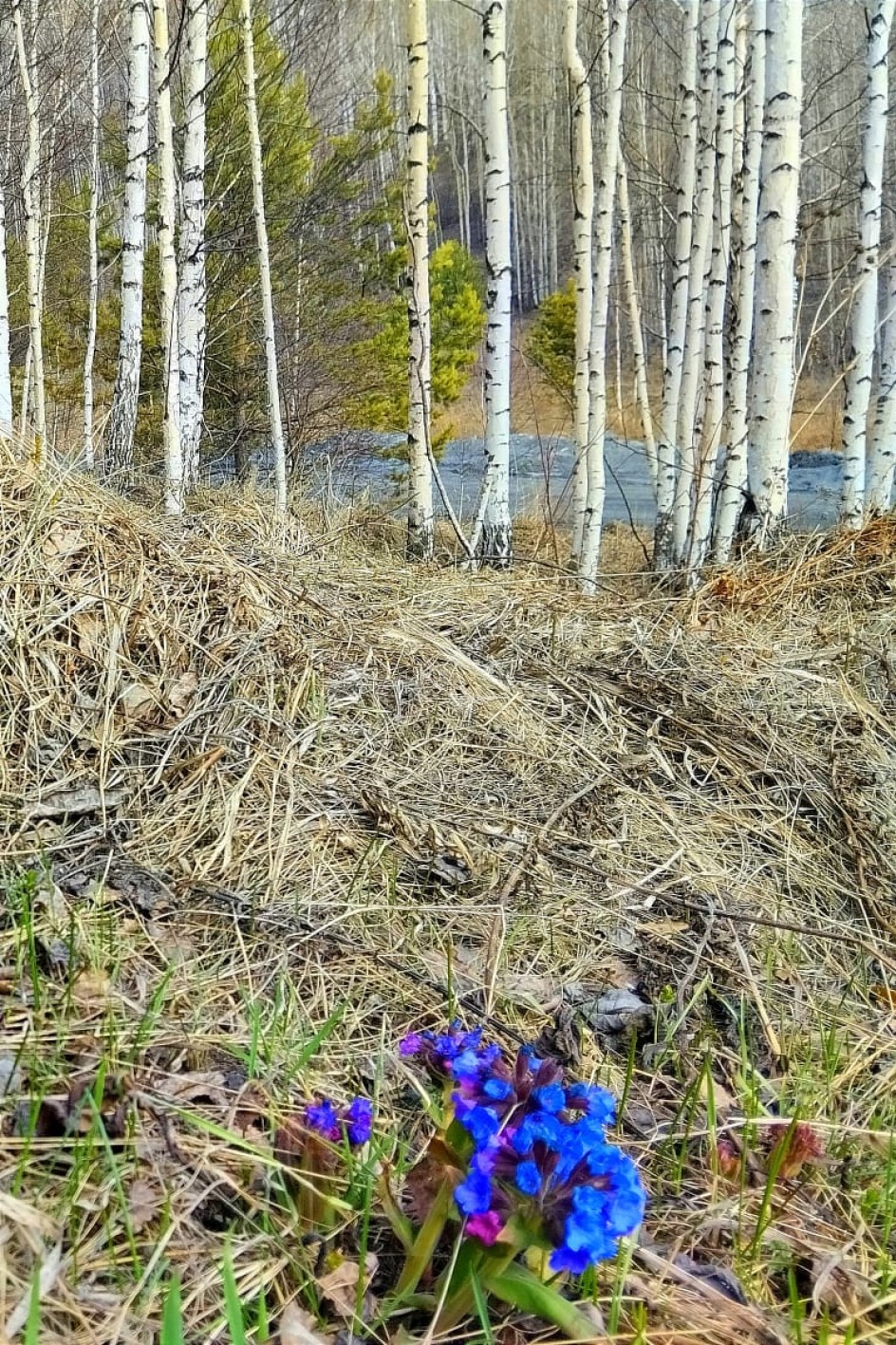 Апрель