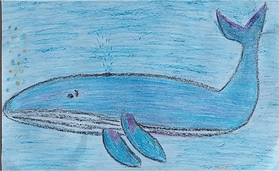 Красавец морей