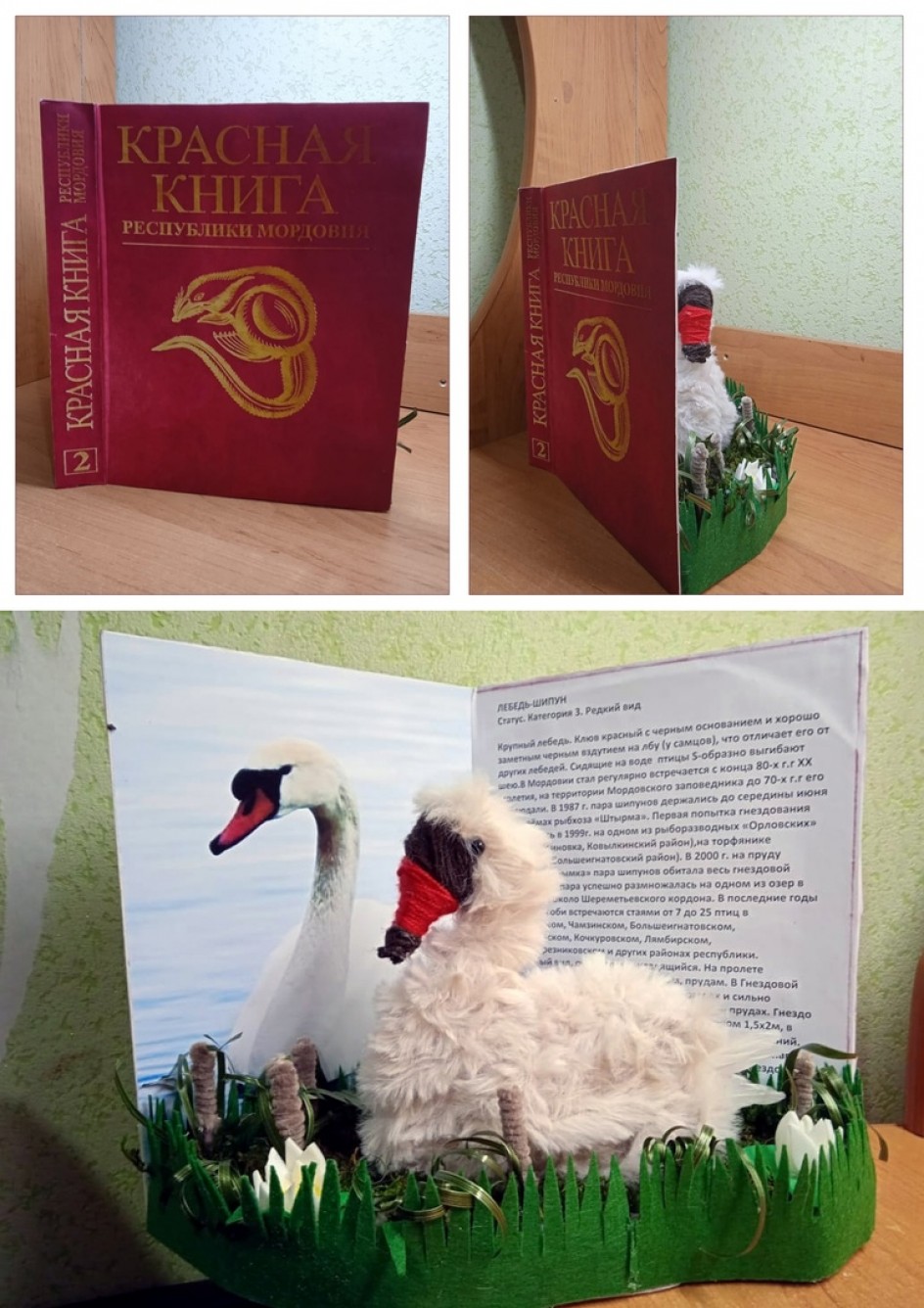 Красная книга Республике Мордовия