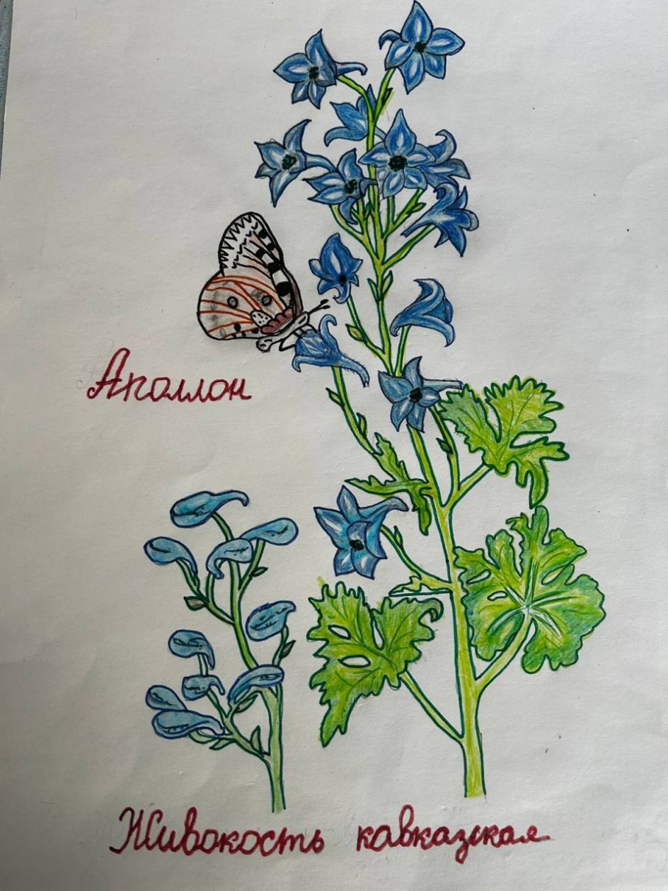 По страницам Красной книги