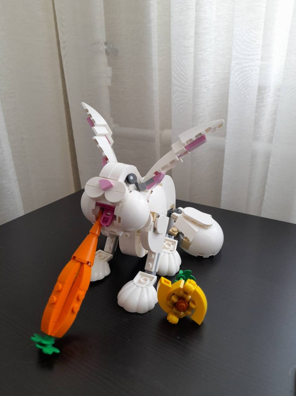 Кролик Кеша