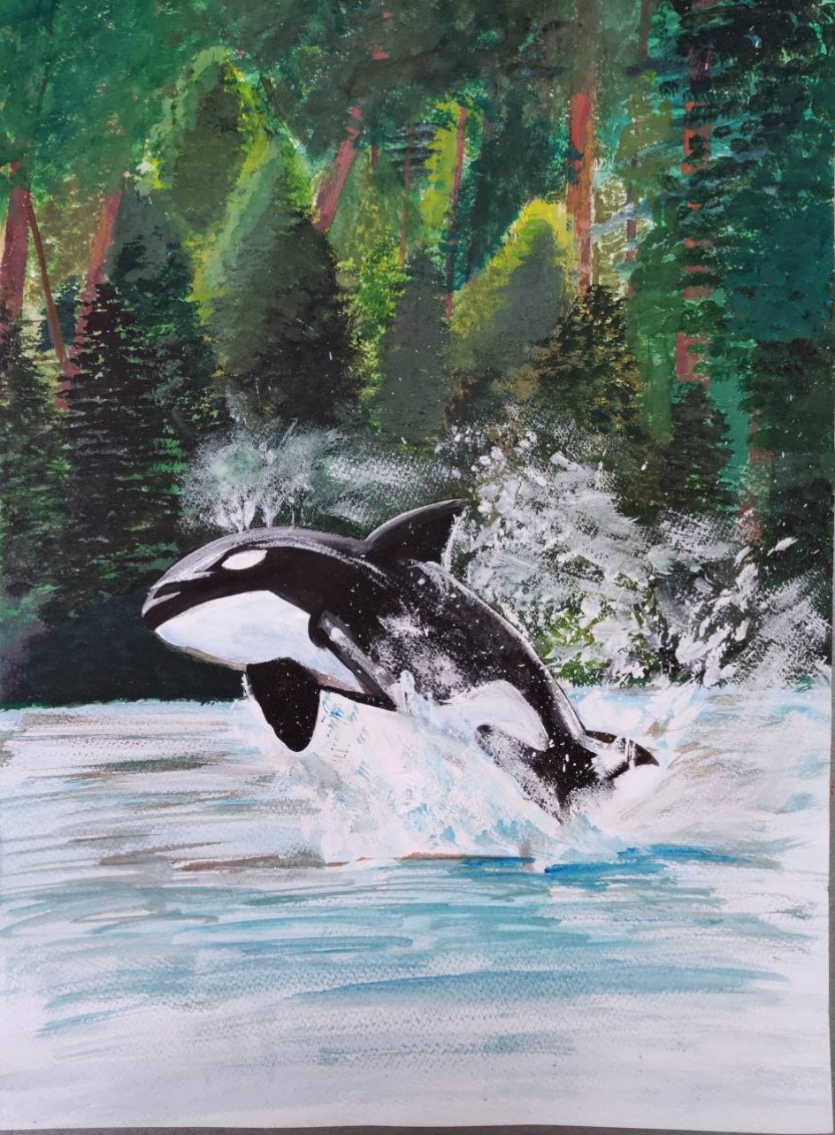 Косатка