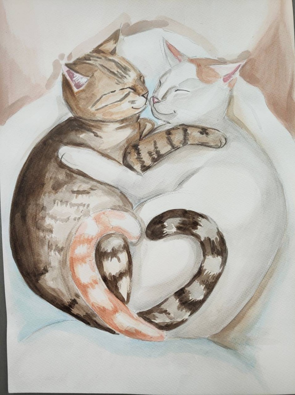 Кошачья любовь