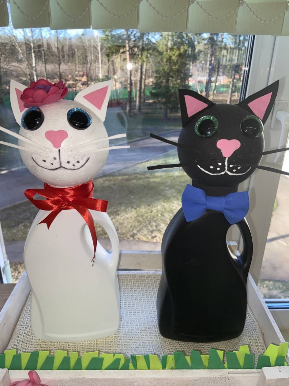 Котики друзья