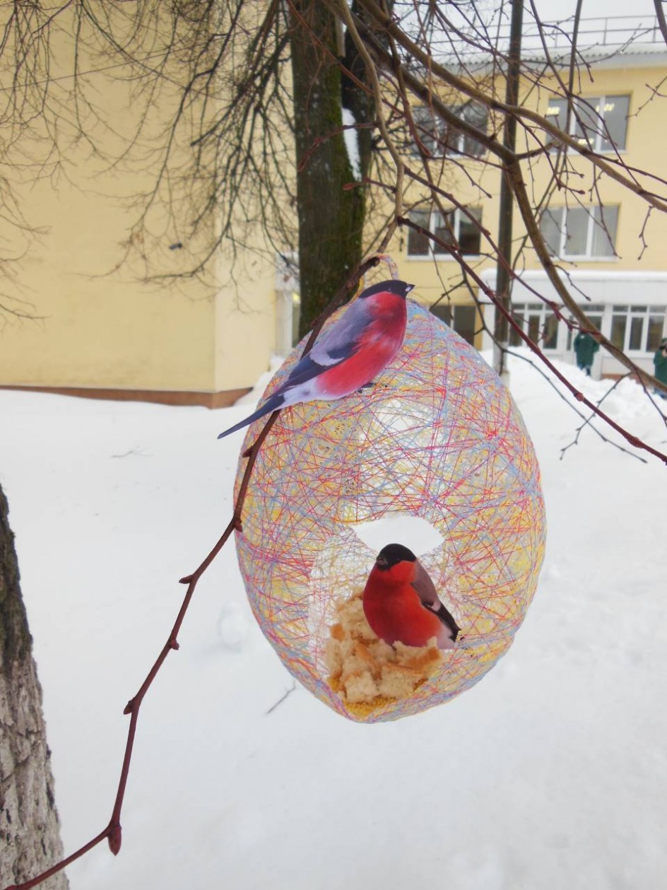 Креативная кормушка
