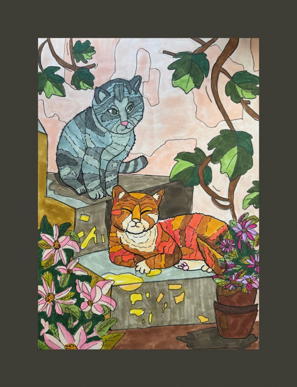 Кошки