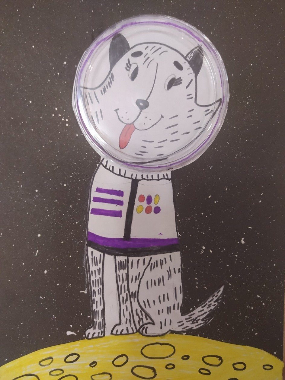 Космос для всех