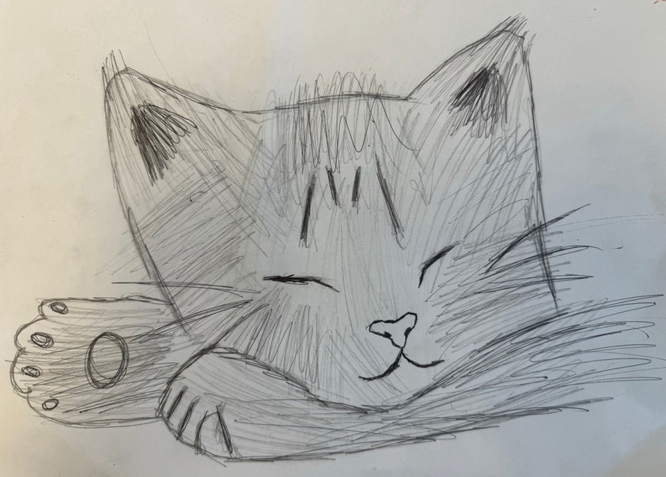 Милый котик
