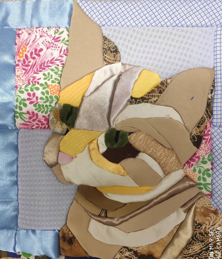 Кошка у окошка