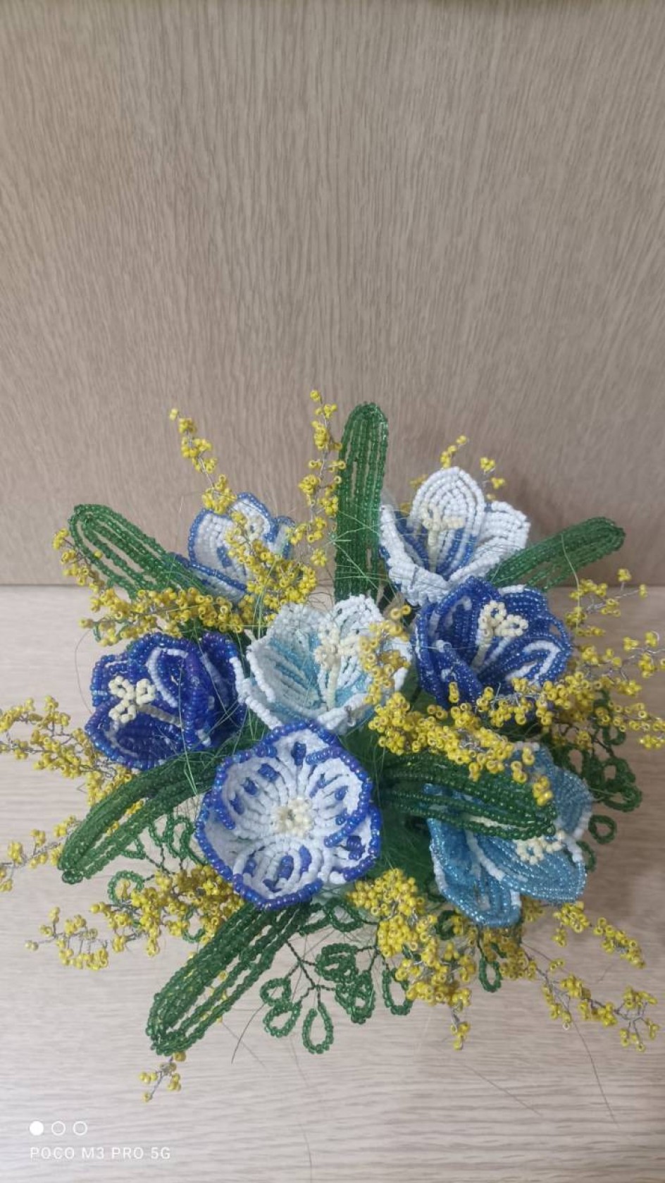 "Крокусы"