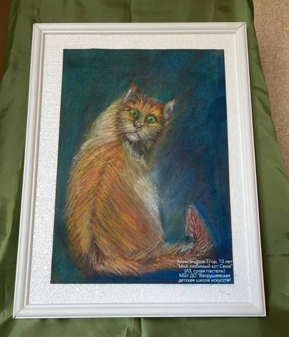"Мой любимый кот Сёма"