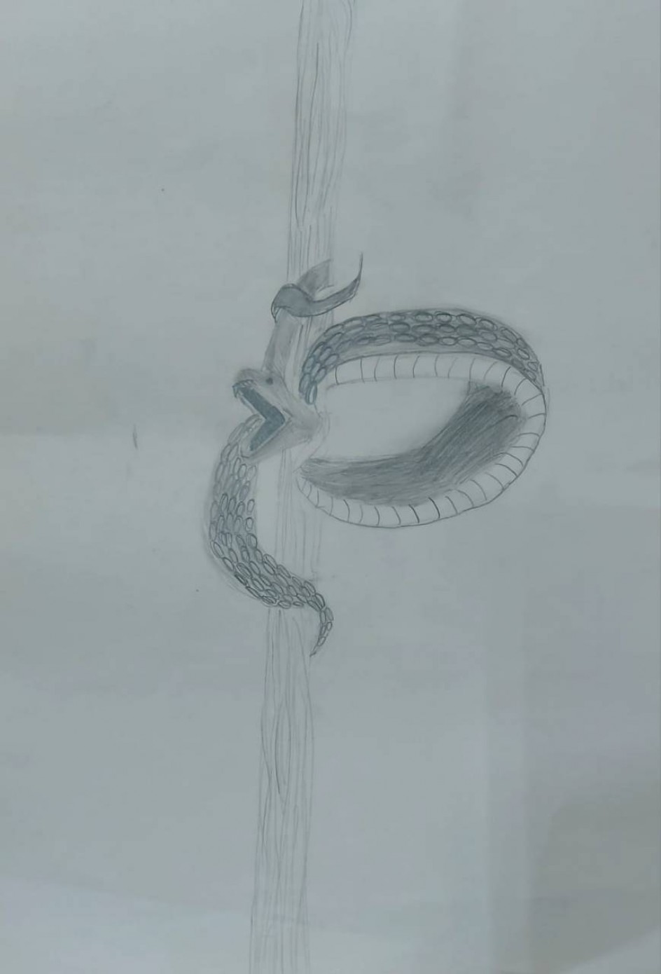 Змея