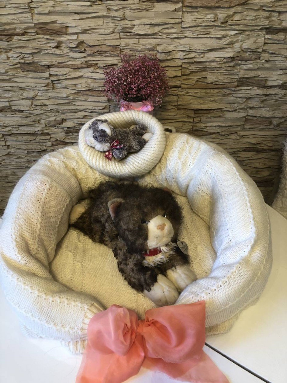 «Лежанка для кота»