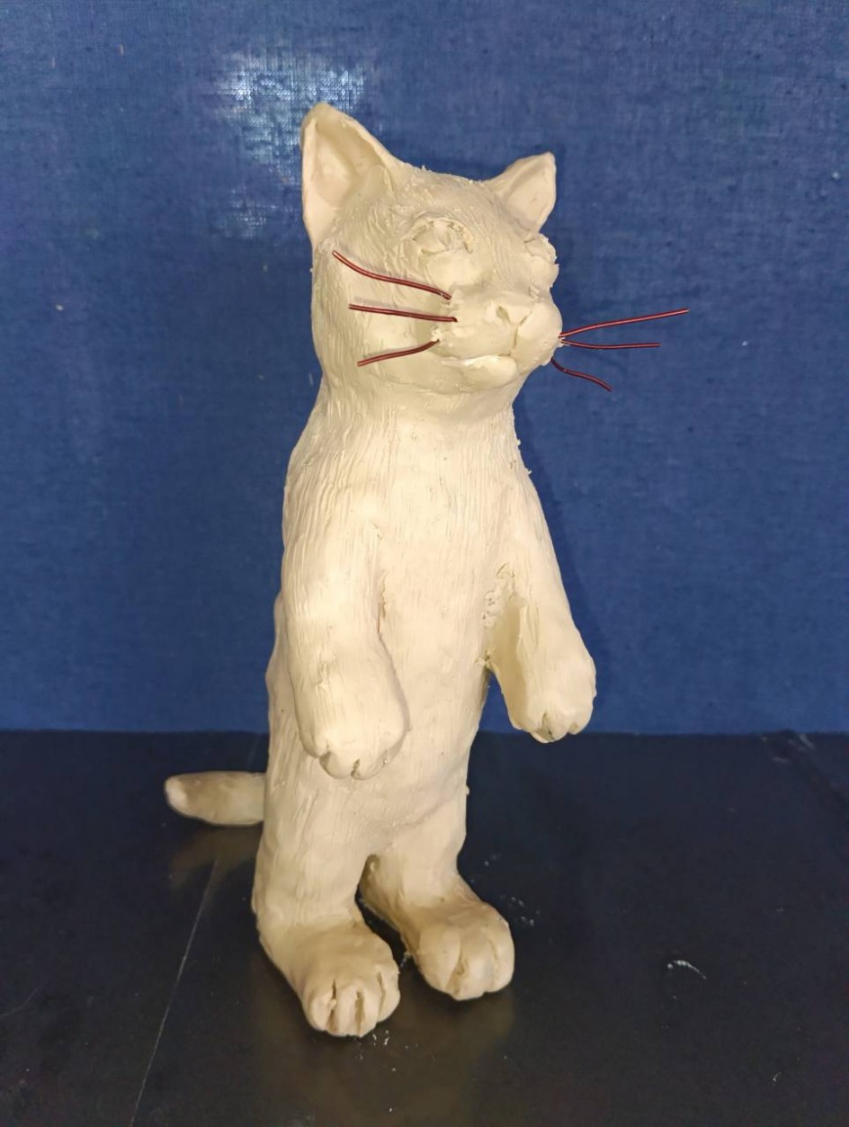 Котик