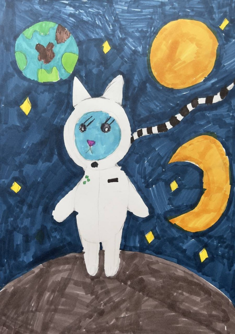 Космический котик