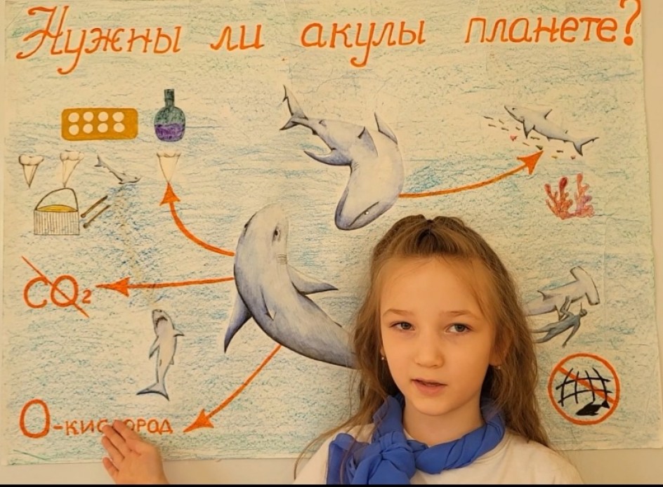 Нужны ли акулы планете?