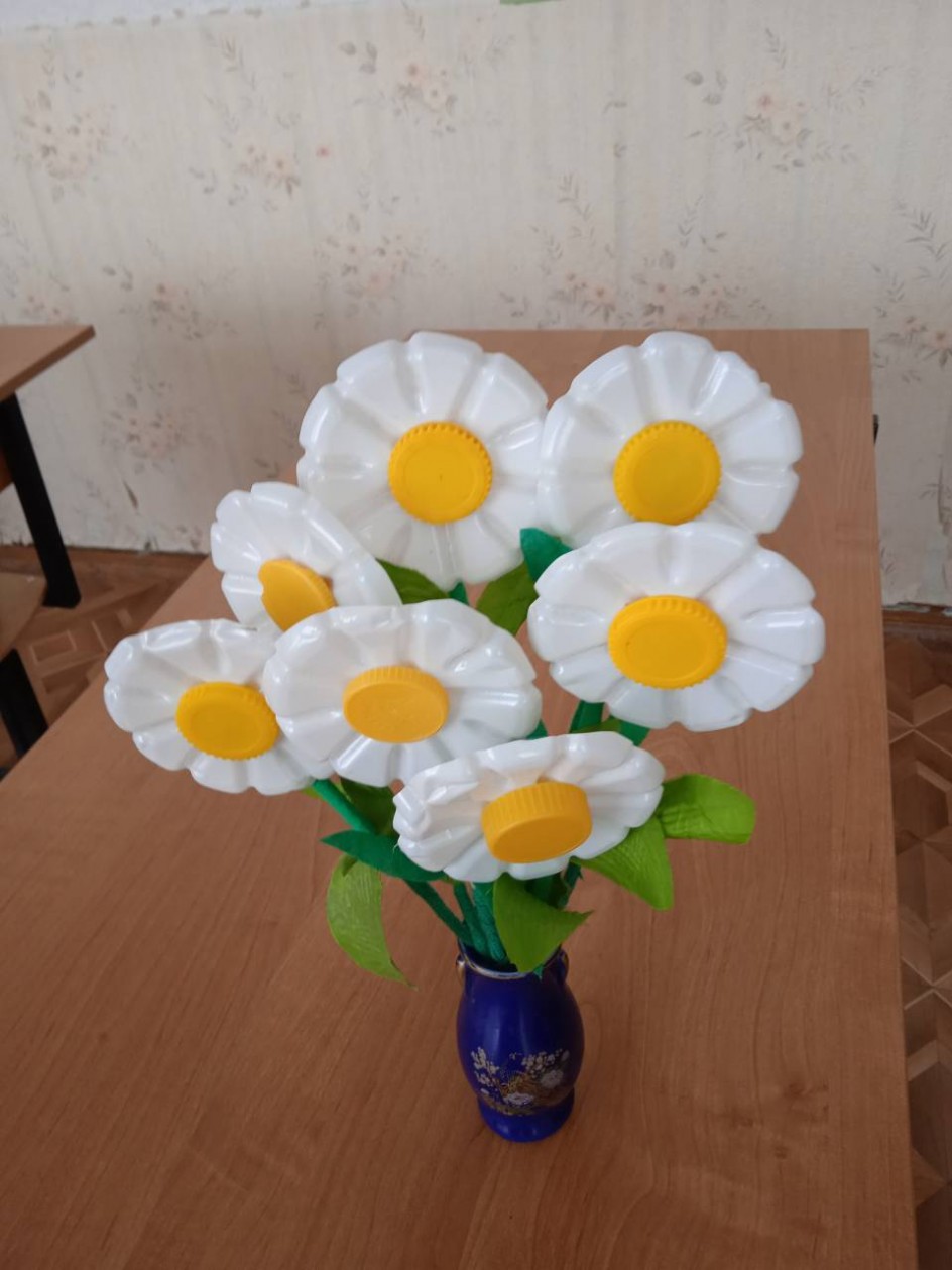 Ромашки