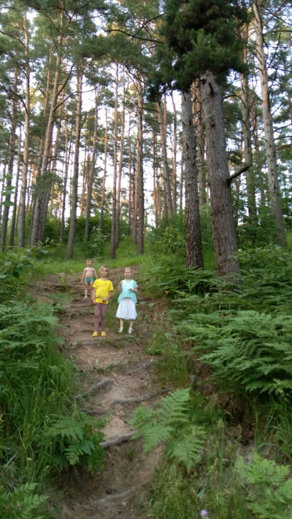 В лесу порядок наведем.