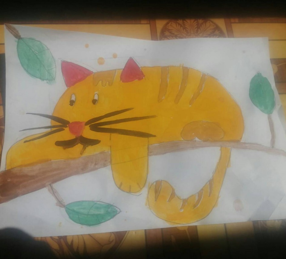 Кот