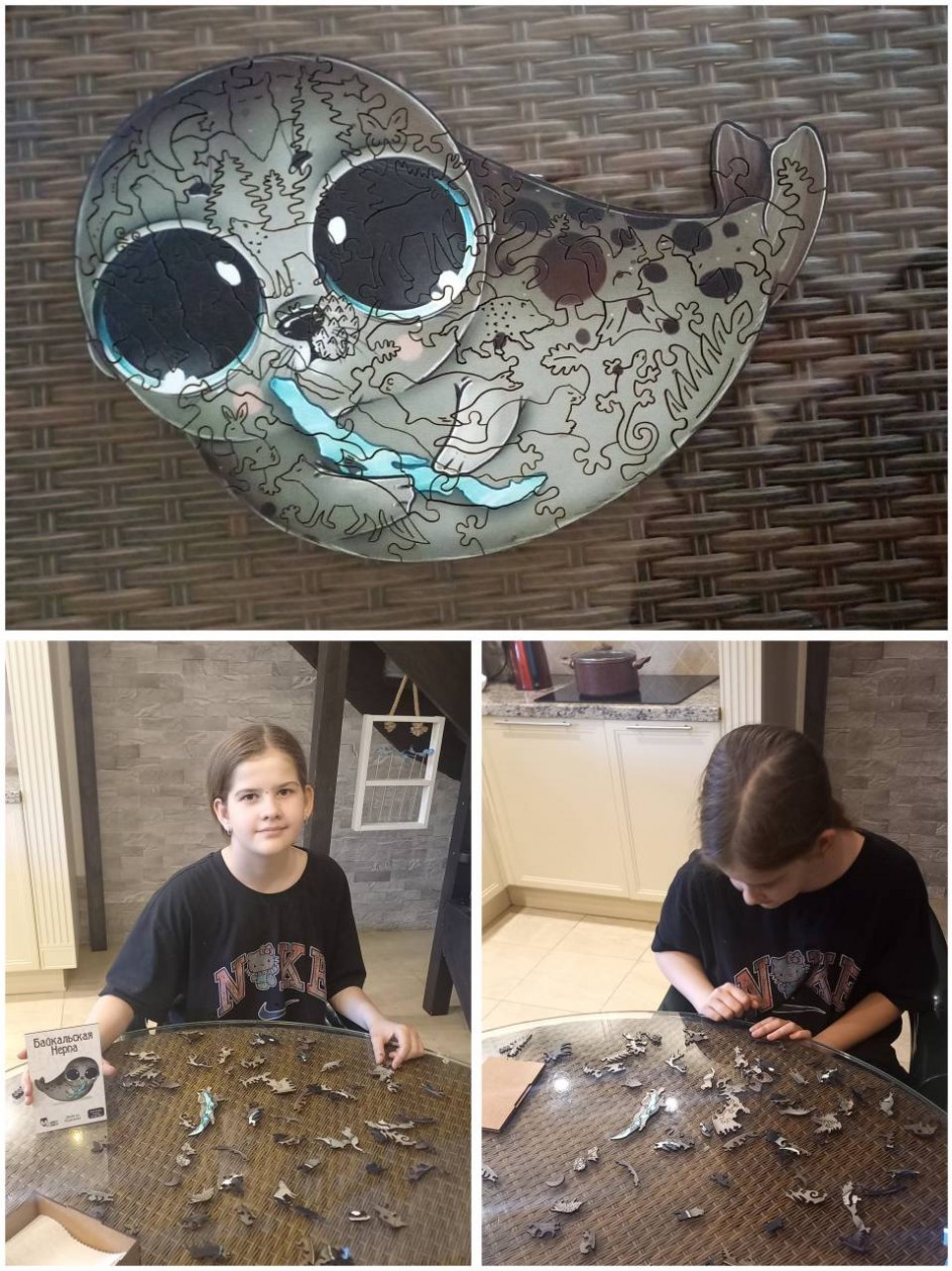 "Байкальская нерпа"