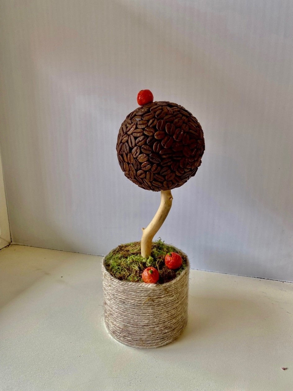 Кофейное дерево с мандаринами