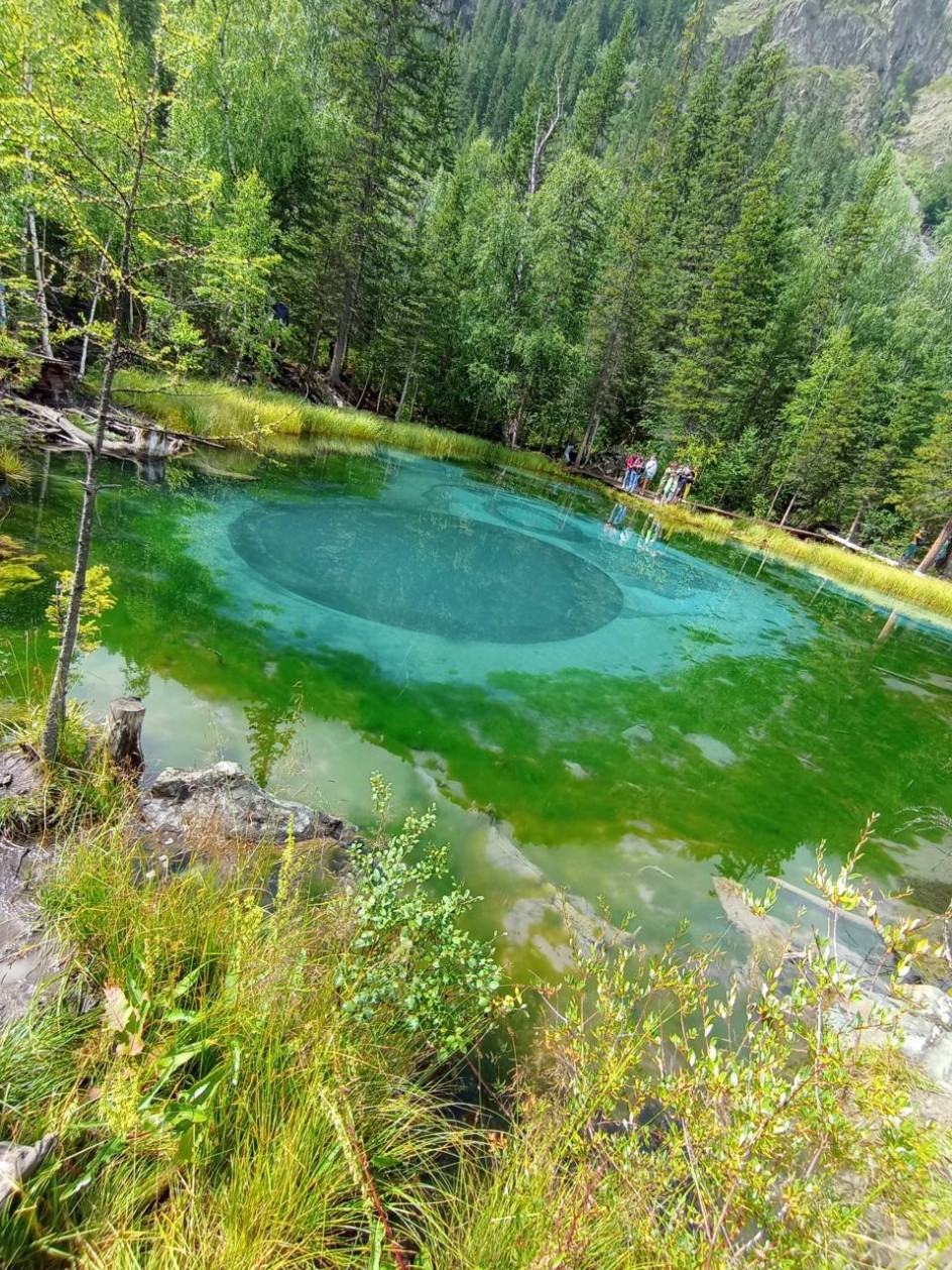 КРАСКИ АЛТАЯ