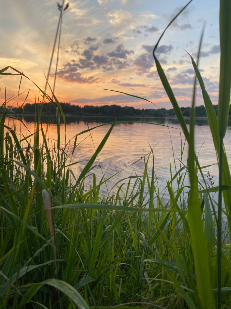 Родной край