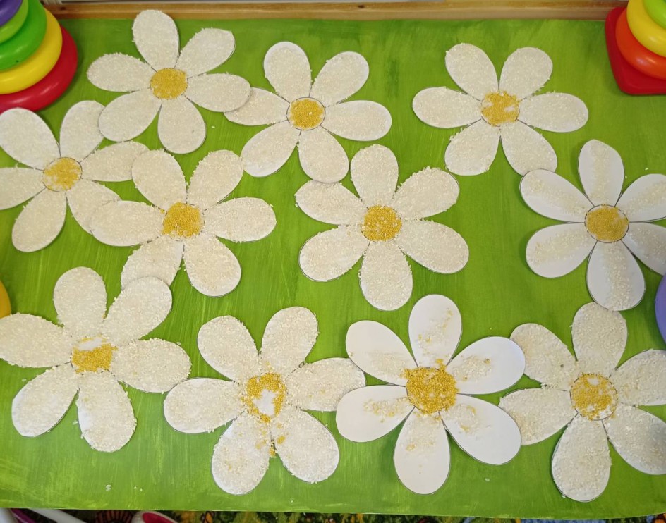 Ромашковое поле