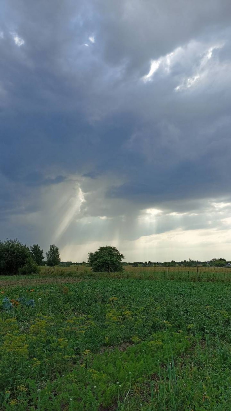 Перед грозой