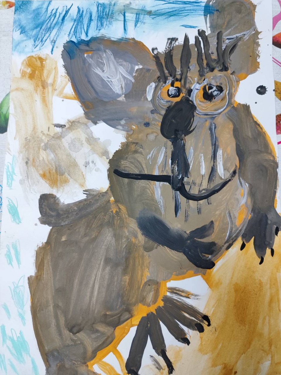 Коала