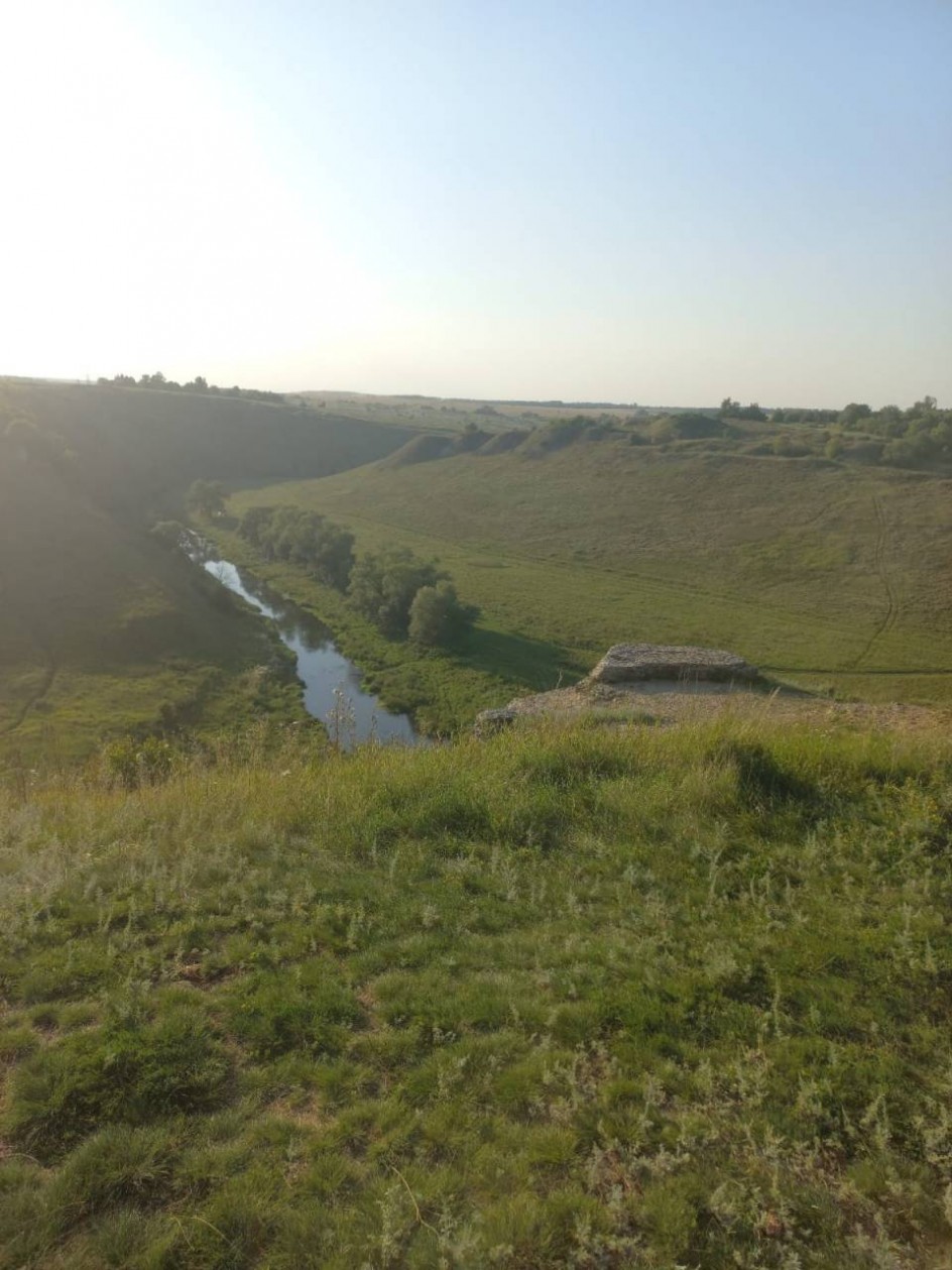 Край родной