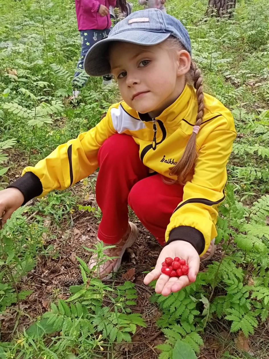 Ягодное лето
