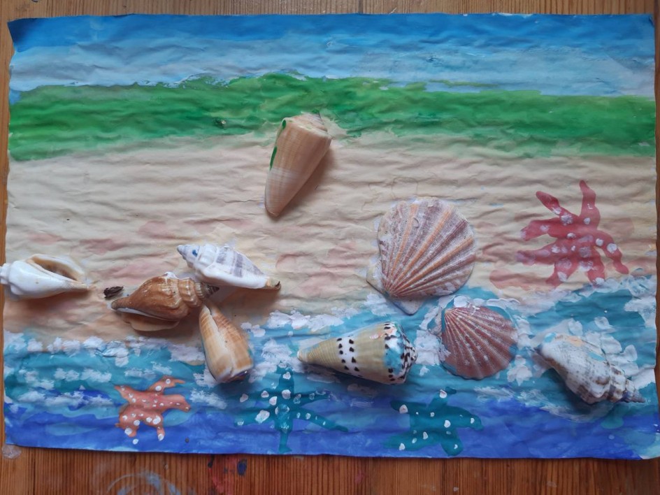 Красивые ракушки у моря