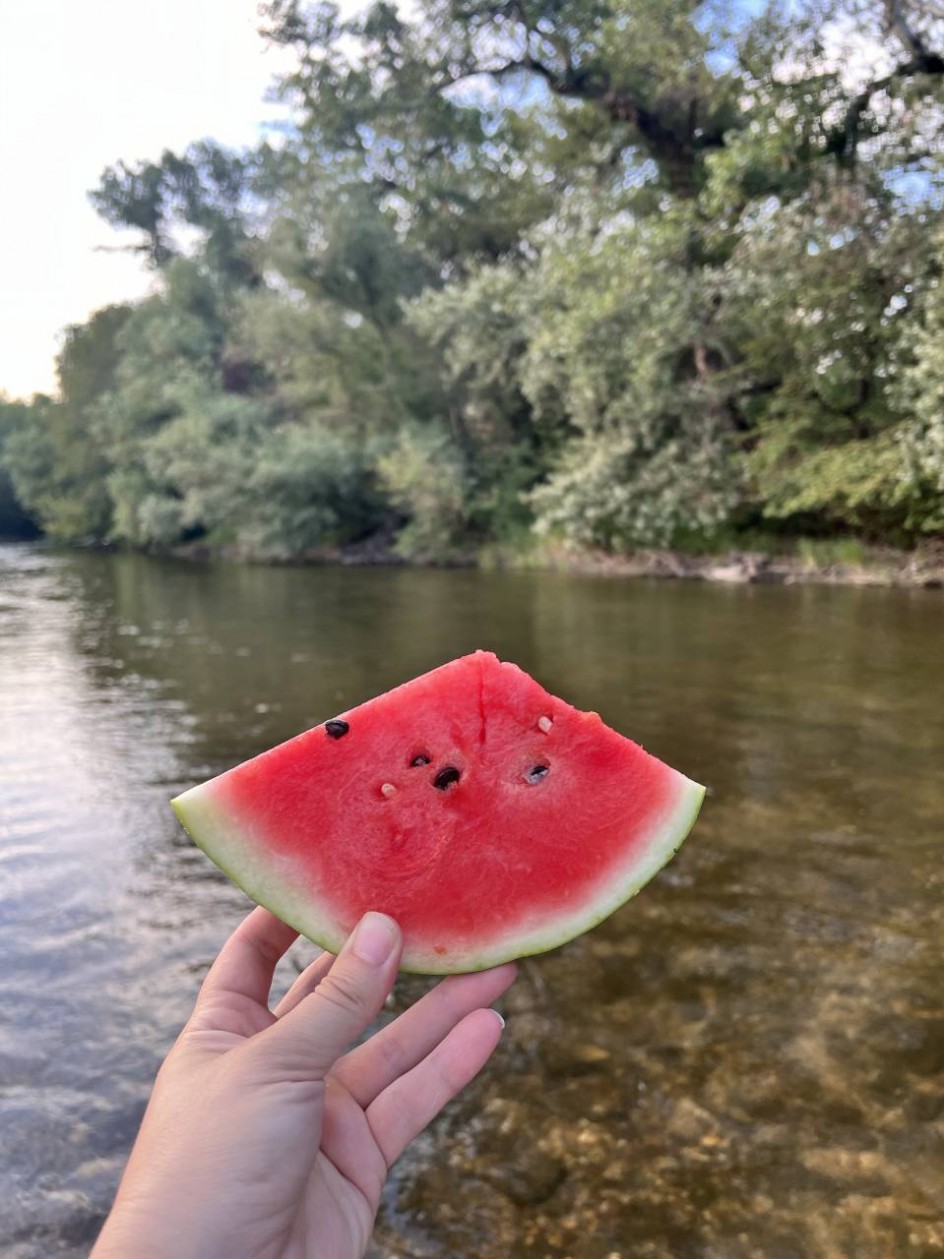 Сочная долька арбуза