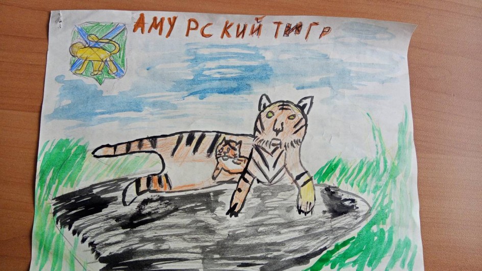 Амурский тигр