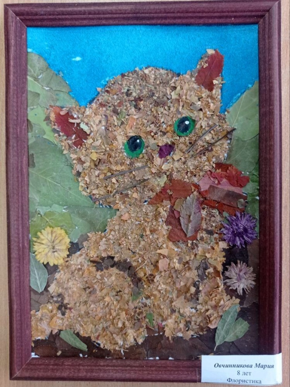 Котя на прогулке