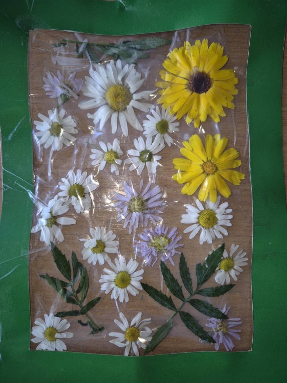 Цветочная поляна