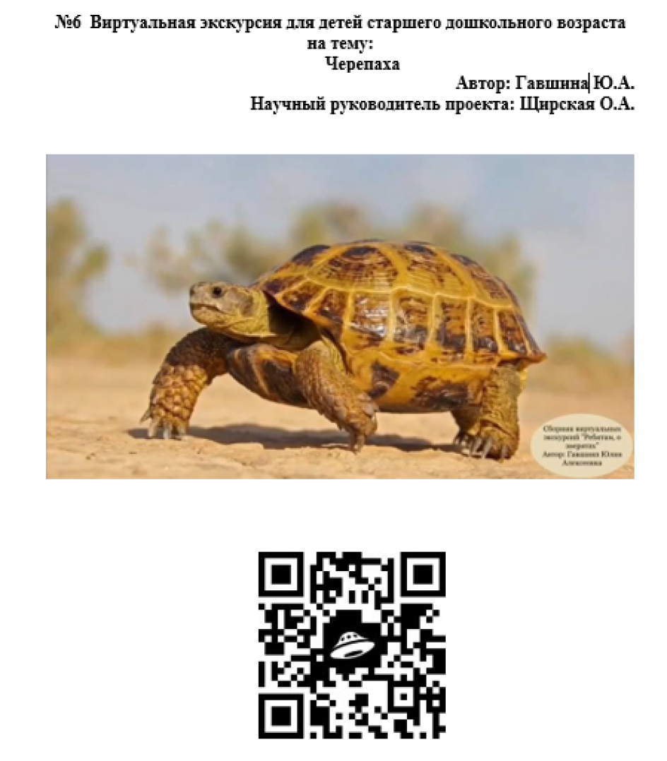 Виртуальная экскурсия для детей старшего дошкольного возраста "Черепаха"