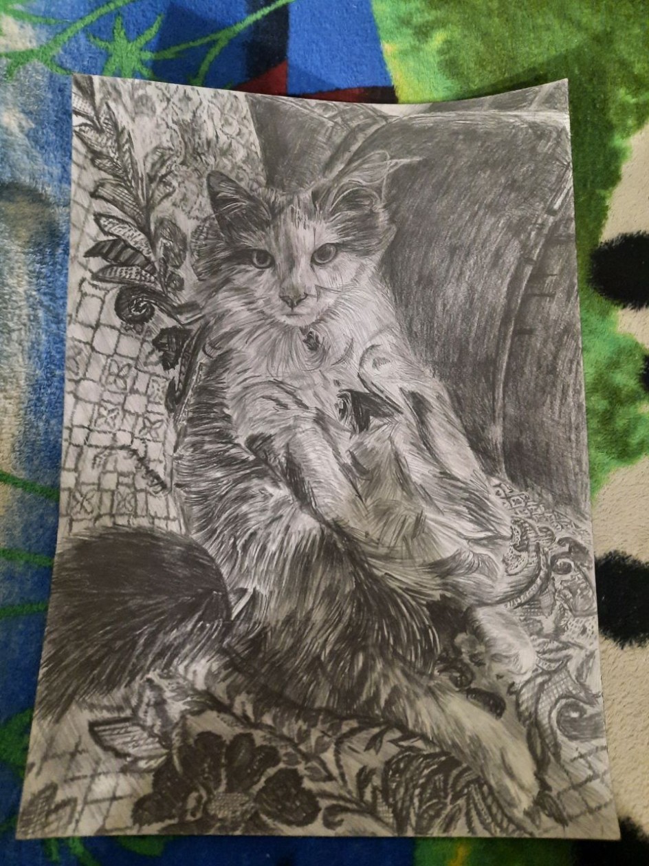 Милый кот