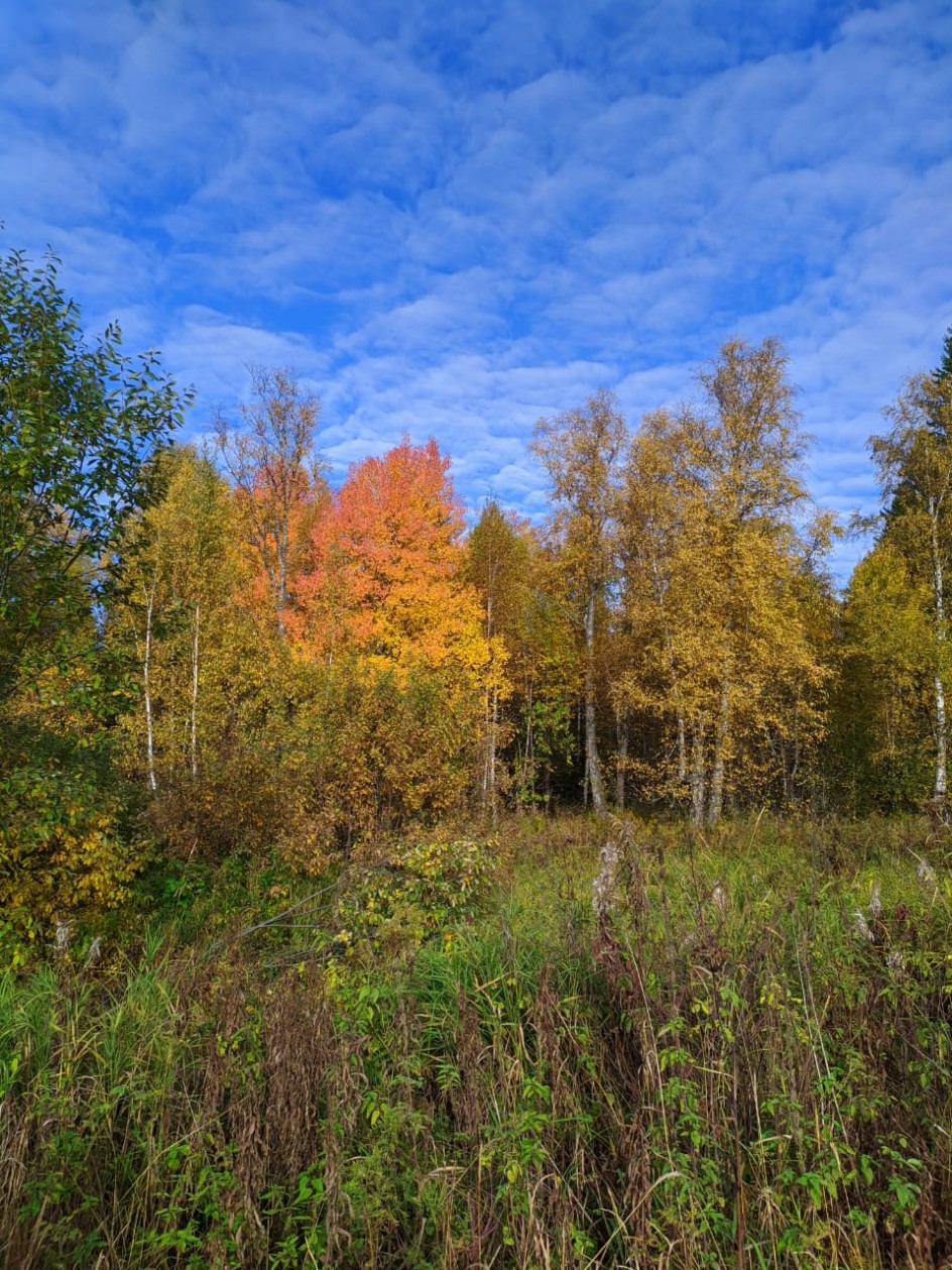 "Краски осени"